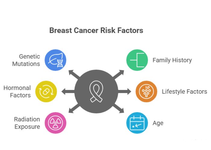 Causes of Breast Cancer